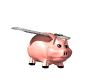 Flyvende gris.gif (9284 bytes)